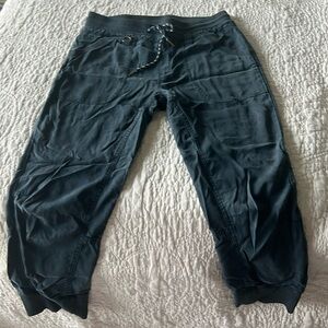 Anthropologie Pilcro joggers size M